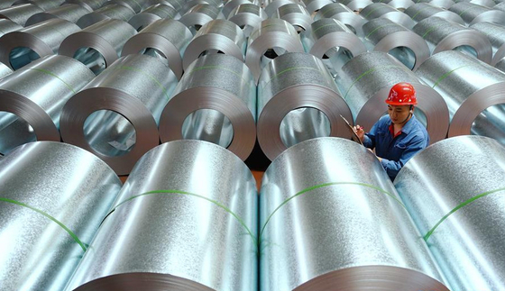 İnşaat İçin Sıcak Daldırma GI Galvanizli Çelik Rulo SGCC